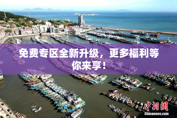 免费专区全新升级，更多福利等你来享！