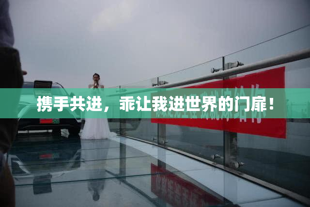 携手共进，乖让我进世界的门扉！
