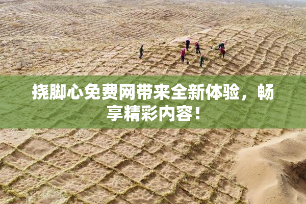 挠脚心免费网带来全新体验，畅享精彩内容！