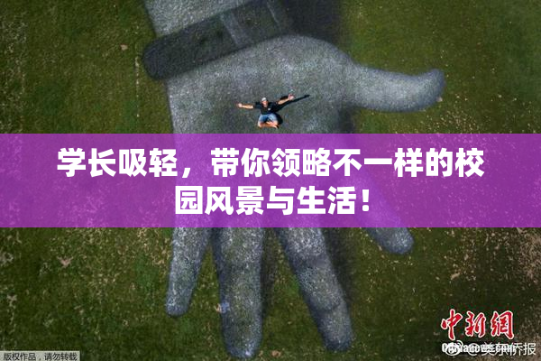 学长吸轻，带你领略不一样的校园风景与生活！
