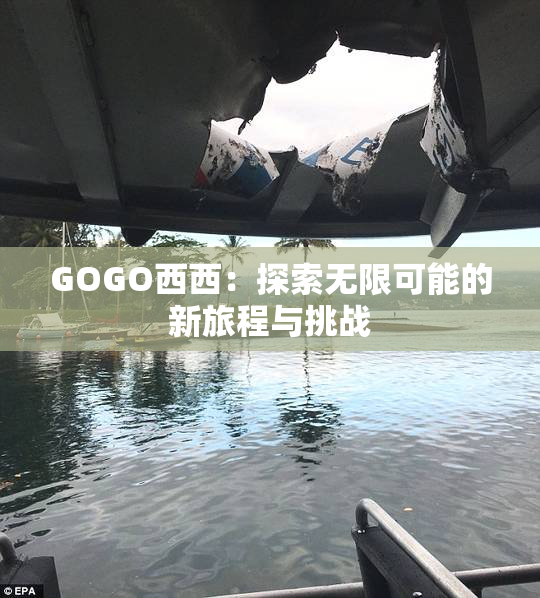GOGO西西：探索无限可能的新旅程与挑战