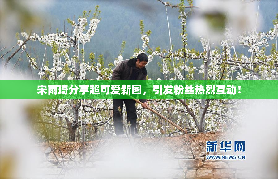 宋雨琦分享超可爱新图，引发粉丝热烈互动！