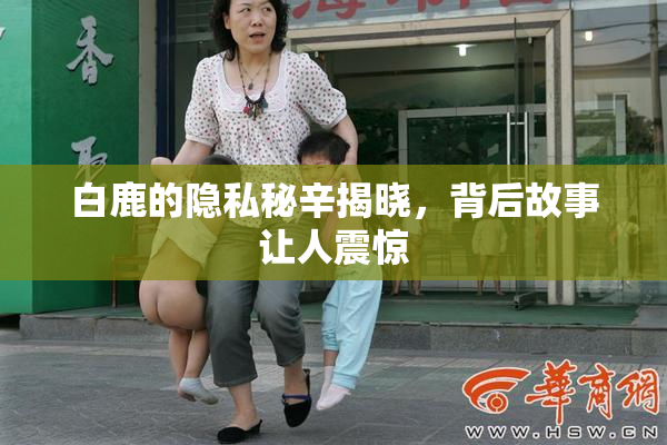 白鹿的隐私秘辛揭晓，背后故事让人震惊