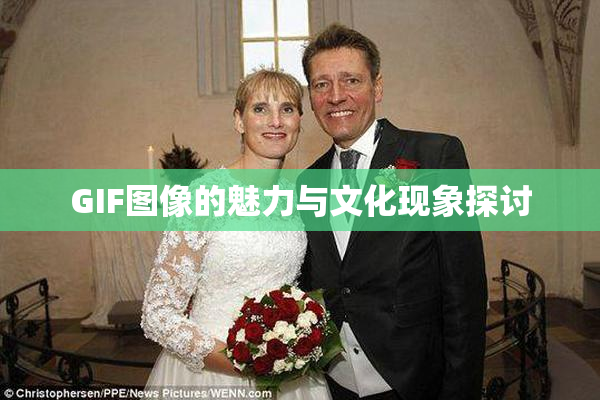 GIF图像的魅力与文化现象探讨