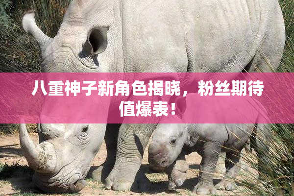 八重神子新角色揭晓，粉丝期待值爆表！
