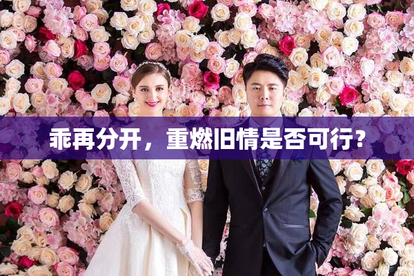 乖再分开，重燃旧情是否可行？
