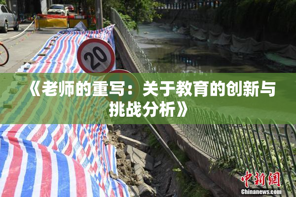 《老师的重写：关于教育的创新与挑战分析》