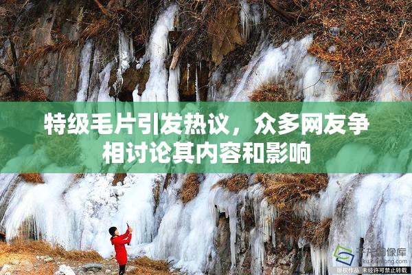 特级毛片引发热议，众多网友争相讨论其内容和影响