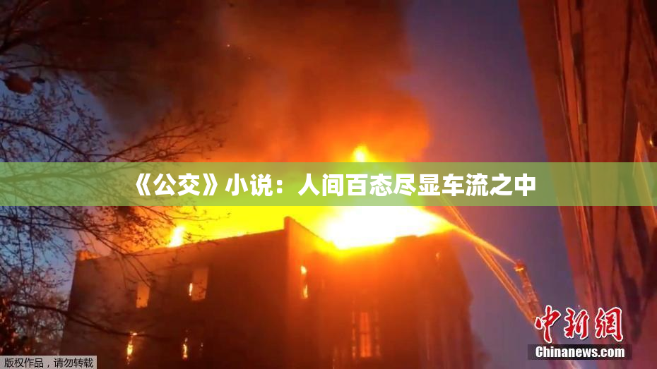 《公交》小说：人间百态尽显车流之中