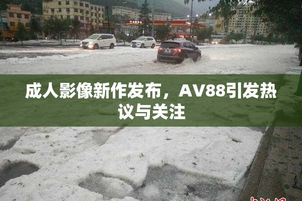 成人影像新作发布，AV88引发热议与关注