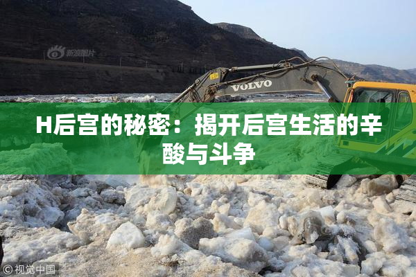 H后宫的秘密：揭开后宫生活的辛酸与斗争