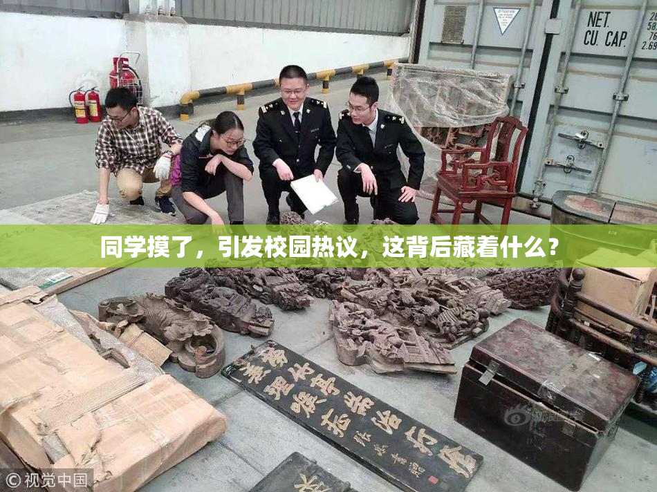 同学摸了，引发校园热议，这背后藏着什么？