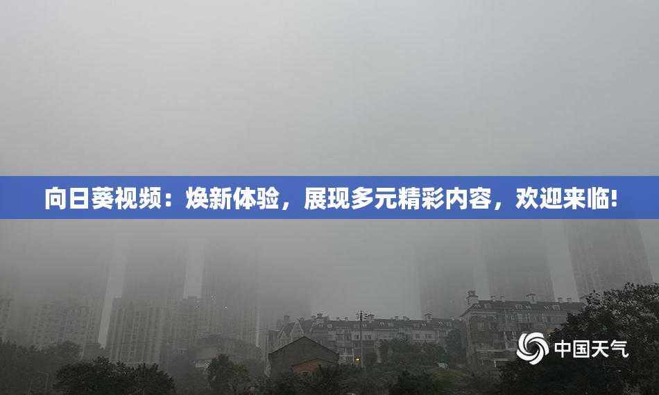 向日葵视频：焕新体验，展现多元精彩内容，欢迎来临!