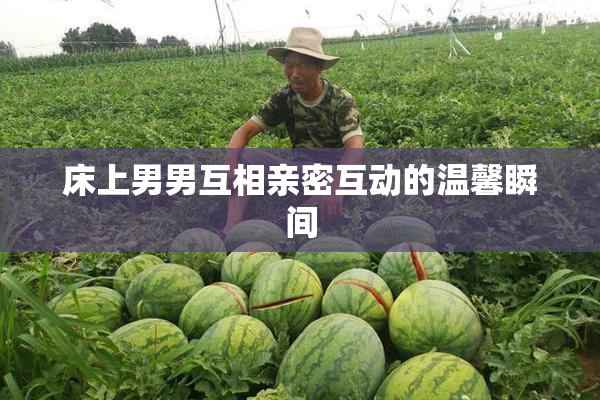 床上男男互相亲密互动的温馨瞬间