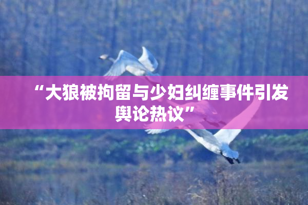 “大狼被拘留与少妇纠缠事件引发舆论热议”