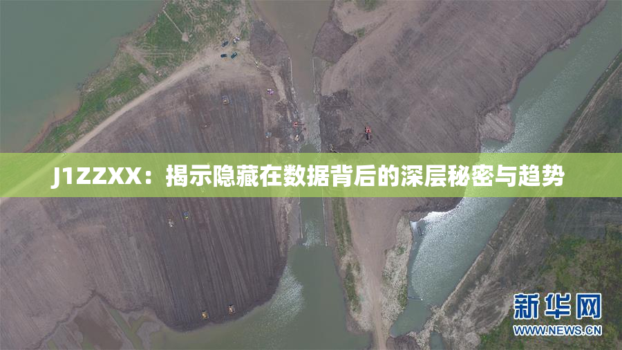 J1ZZXX：揭示隐藏在数据背后的深层秘密与趋势