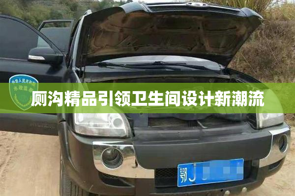 厕沟精品引领卫生间设计新潮流