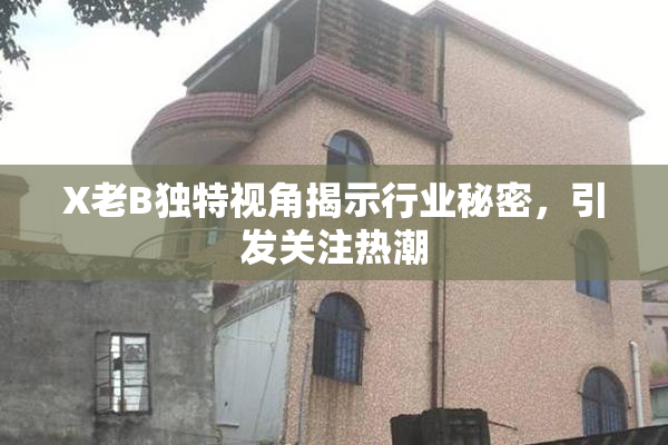 X老B独特视角揭示行业秘密，引发关注热潮