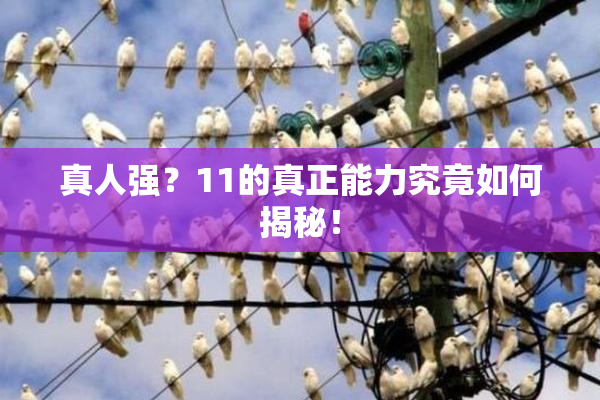 真人强？11的真正能力究竟如何揭秘！