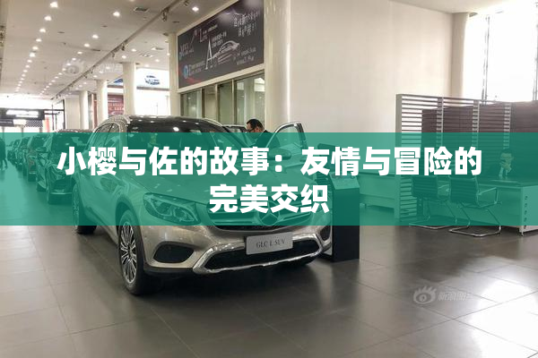 小樱与佐的故事：友情与冒险的完美交织