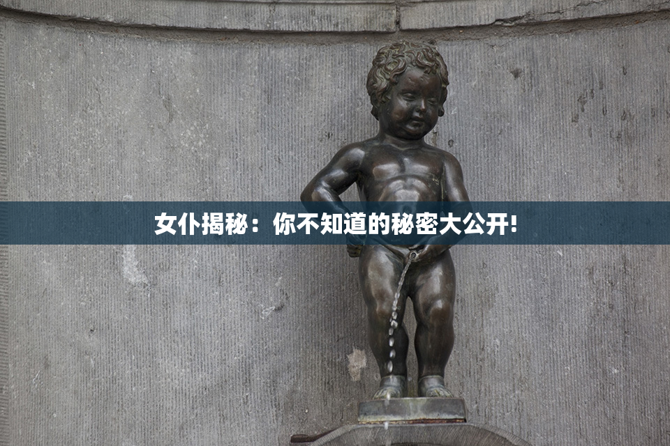 女仆揭秘：你不知道的秘密大公开!