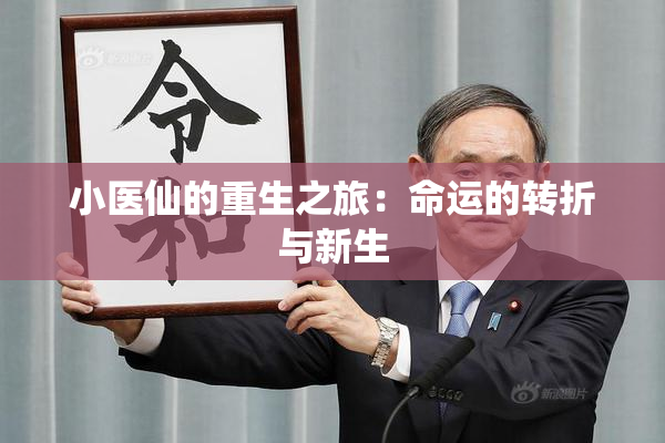 小医仙的重生之旅：命运的转折与新生