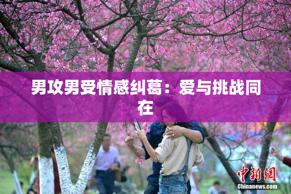 男攻男受情感纠葛：爱与挑战同在