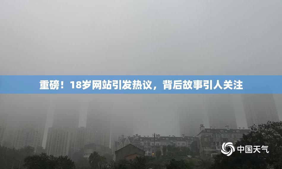 重磅！18岁网站引发热议，背后故事引人关注