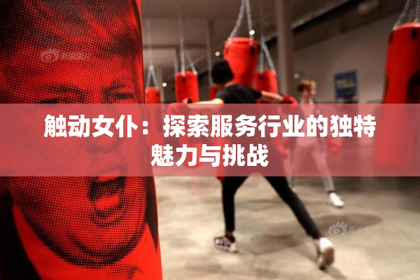 触动女仆：探索服务行业的独特魅力与挑战