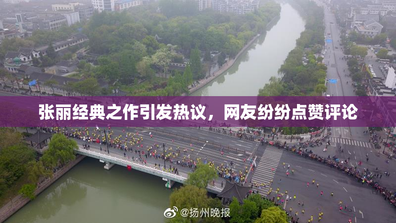 张丽经典之作引发热议，网友纷纷点赞评论