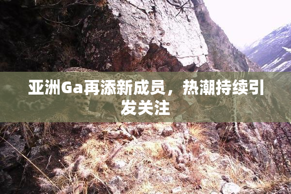 亚洲Ga再添新成员，热潮持续引发关注