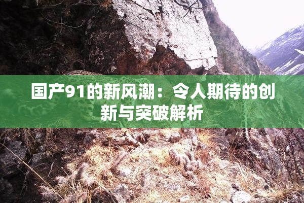 国产91的新风潮：令人期待的创新与突破解析
