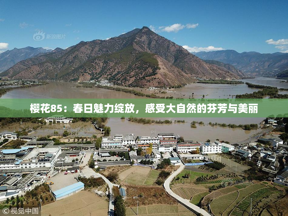 樱花85：春日魅力绽放，感受大自然的芬芳与美丽