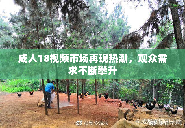 成人18视频市场再现热潮，观众需求不断攀升