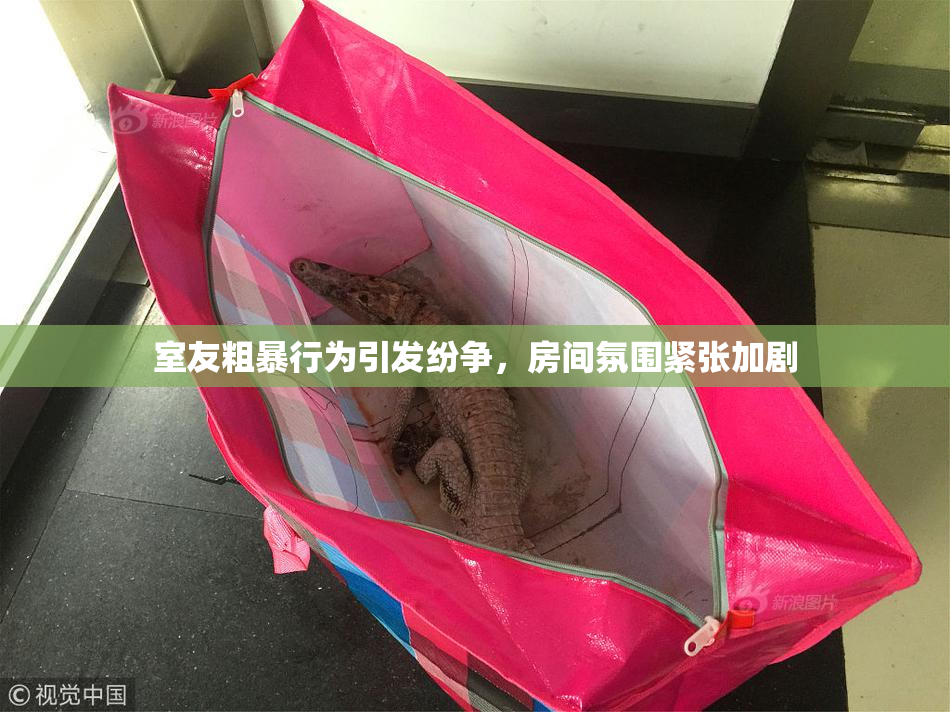 室友粗暴行为引发纷争，房间氛围紧张加剧