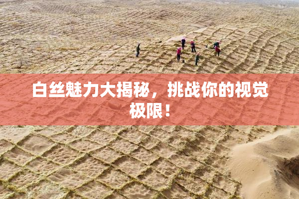 白丝魅力大揭秘，挑战你的视觉极限！