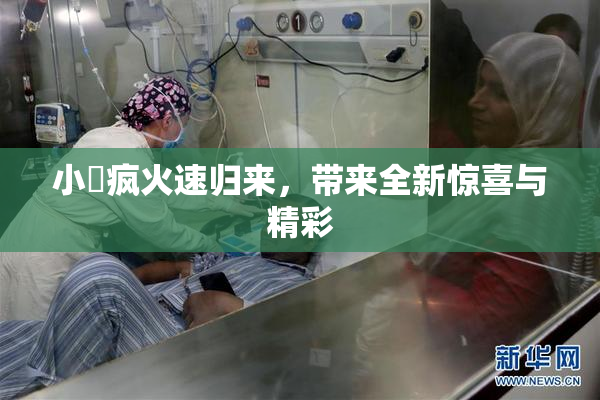 小泬疯火速归来，带来全新惊喜与精彩