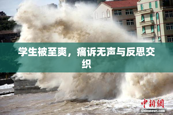 学生被至爽，痛诉无声与反思交织