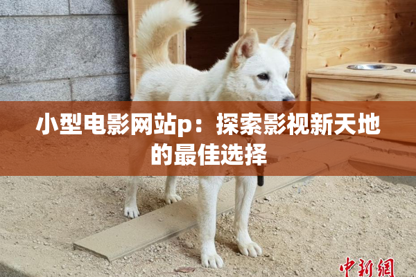 小型电影网站p：探索影视新天地的最佳选择