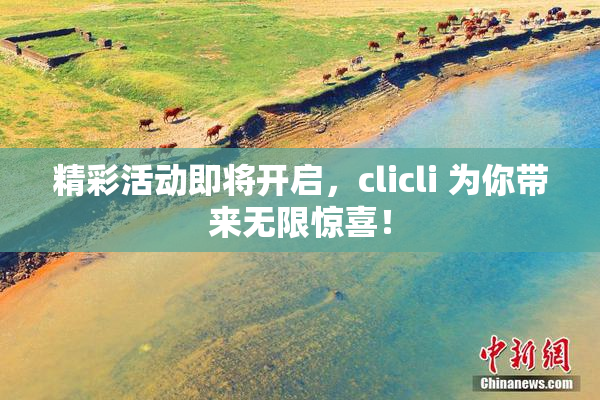 精彩活动即将开启，clicli 为你带来无限惊喜！