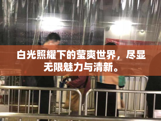 白光照耀下的莹爽世界，尽显无限魅力与清新。