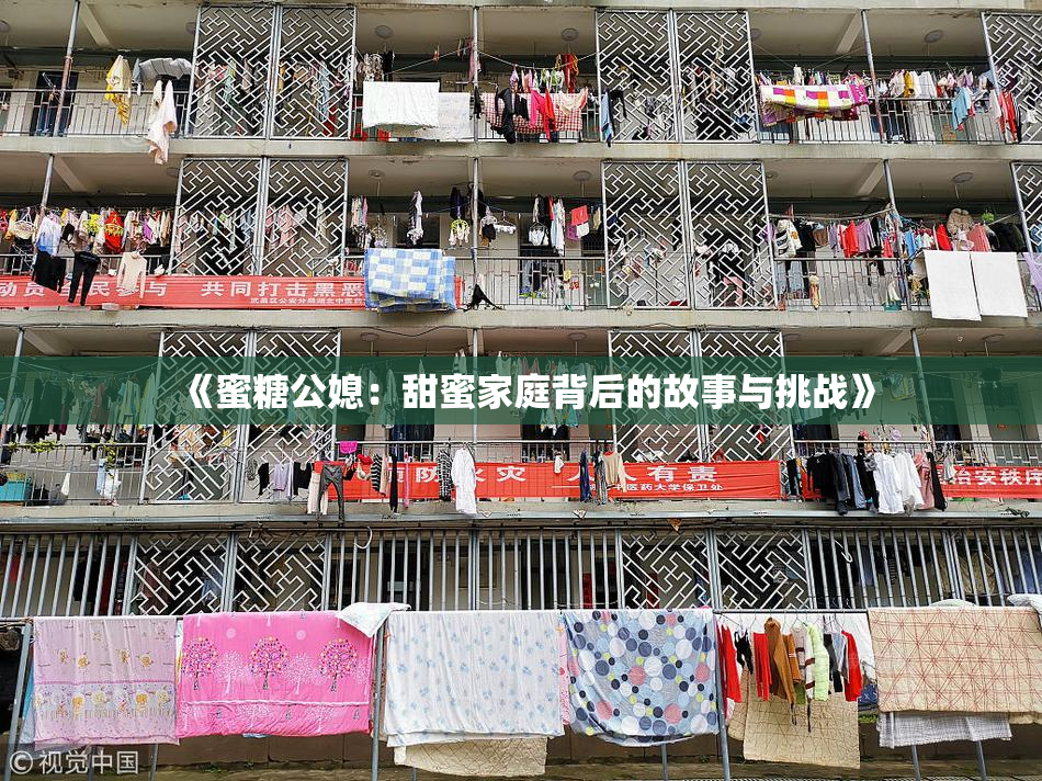 《蜜糖公媳：甜蜜家庭背后的故事与挑战》