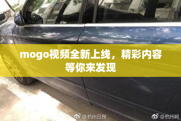 mogo视频全新上线，精彩内容等你来发现
