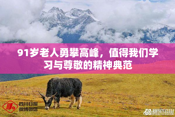 91岁老人勇攀高峰，值得我们学习与尊敬的精神典范