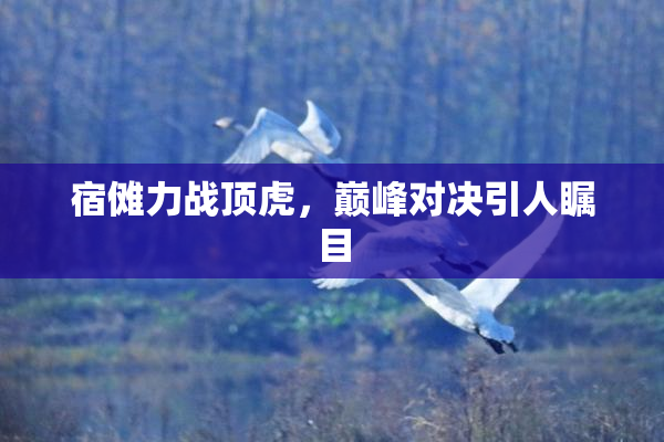 宿傩力战顶虎，巅峰对决引人瞩目