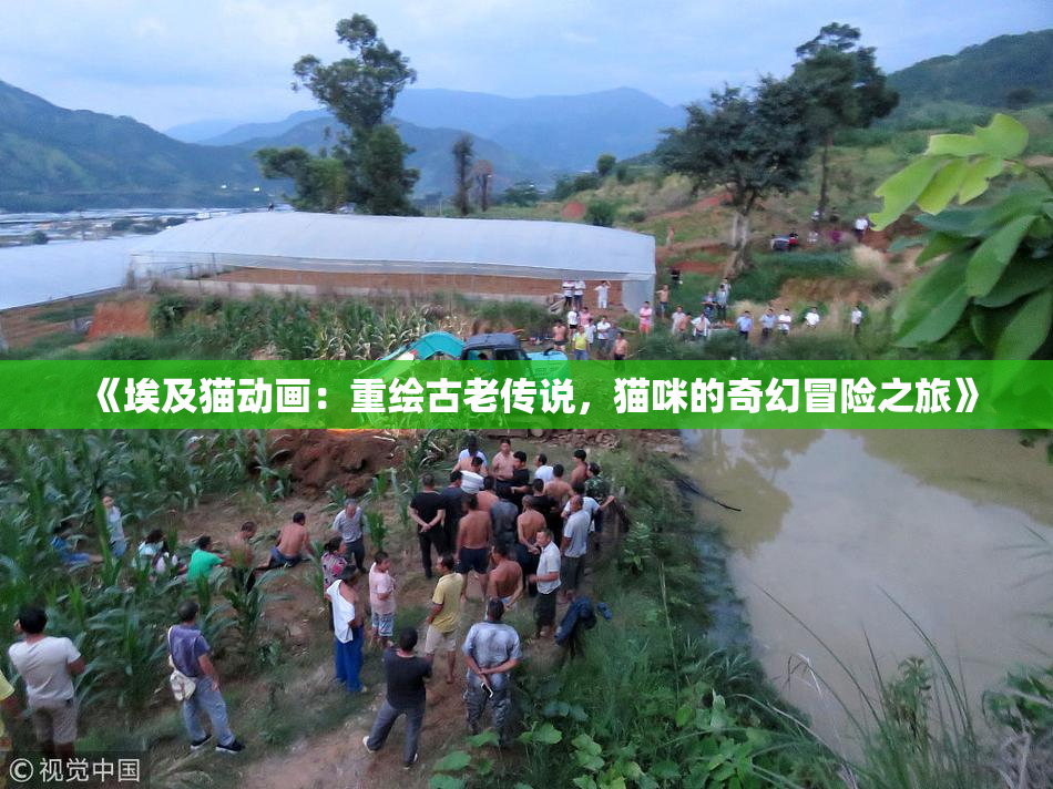 《埃及猫动画：重绘古老传说，猫咪的奇幻冒险之旅》