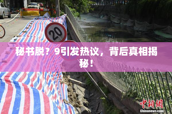 秘书脱？9引发热议，背后真相揭秘！