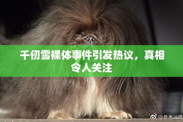 千仞雪裸体事件引发热议，真相令人关注