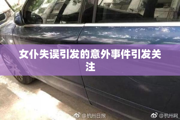 女仆失误引发的意外事件引发关注