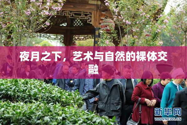 夜月之下，艺术与自然的裸体交融